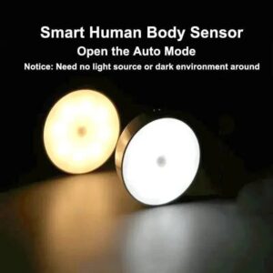 Body Induction Light